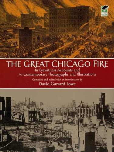 The Great Chicago Fire David Lowe