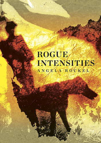 Rogue Intensities Angela Rockel