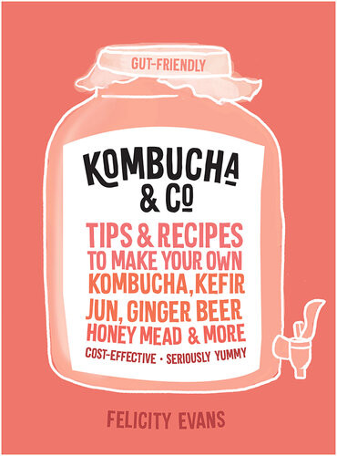 Kombucha Co Tips And Recipes To Make Your Own Kombucha Kefir Jun Ginger Beer Honey Mead And More Felicity Evans