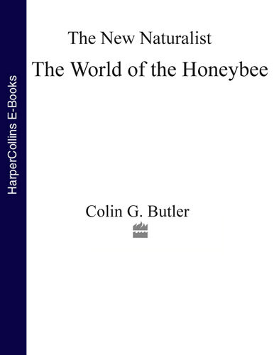 The World Of The Honeybee Colin G Butler