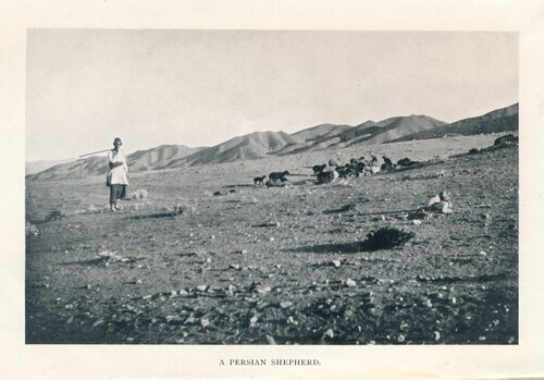 Passenger To Teheran Vita Sackvillewest