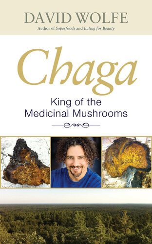 Chaga King Of The Medicinal Mushrooms David Wolfe