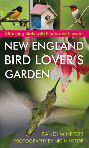 New England Bird Lovers Garden Randi Minetor
