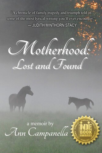 Motherhood Lost And Found Ann Campanella