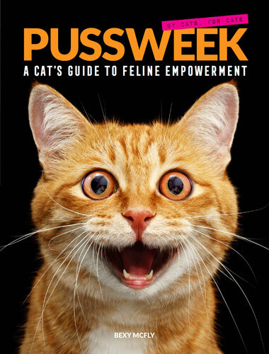 Pussweek A Cats Guide To Feline Empowerment Bexy Mcfly