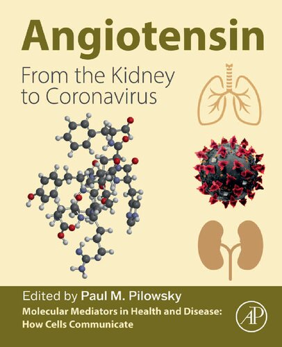 Angiotensin From The Kidney To Coronavirus Paul M Pilowsky
