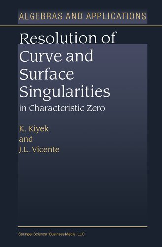 Resolution Of Curve And Surface Singularities In Characteristic Zero 2004th Edition K Kiyek
