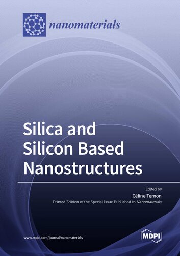 Silica And Silicon Based Nanostructures Ternon C Ed