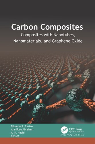 Carbon Composites Composites With Nanotubes Nanomaterials And Graphene Oxide 1st Edition Eduardo A Castro