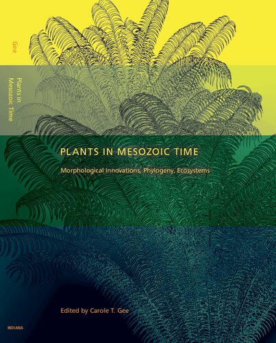 Plants In Mesozoic Time Morphological Innovations Phylogeny Ecosystems Carole T Gee