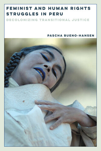 Feminist And Human Rights Struggles In Peru Pascha Buenohansen