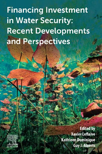 Financing Investment In Water Security Recent Developments And Perspectives Xavier Leflaive