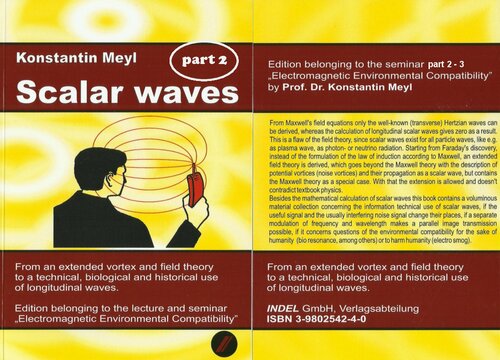 Scalar Waves 1st Edition Meyl Konstantin