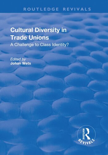 Cultural Diversity In Trade Unions A Challenge To Class Identity A Challenge To Class Identity Johan Wets