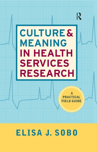 Culture And Meaning In Health Services Research Elisa J Sobo