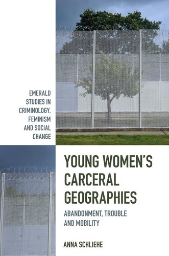Young Womens Carceral Geographies Abandonment Trouble And Mobility Anna Schliehe