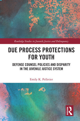 Due Process Protections For Youth Defense Counsel Policies And Disparity In The Juvenile Justice System Emily K Pelletier