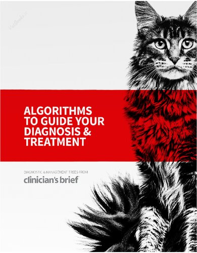 Algorithms To Guide Your Diagnosis 1st Edition Clinicians Brief