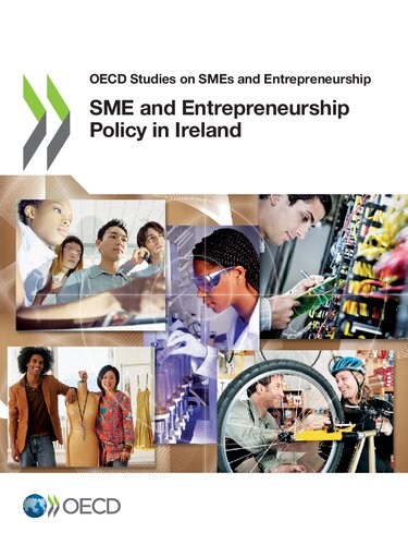 Sme And Entrepreneurship Policy In Ireland Oecd