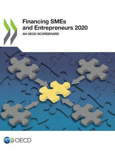 Financing Smes And Entrepreneurs 2020 Oecd