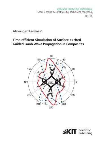 Timeefficient Simulation Of Surfaceexcited Guided Lamb Wave Propagation In Composites Alexander Karmazin