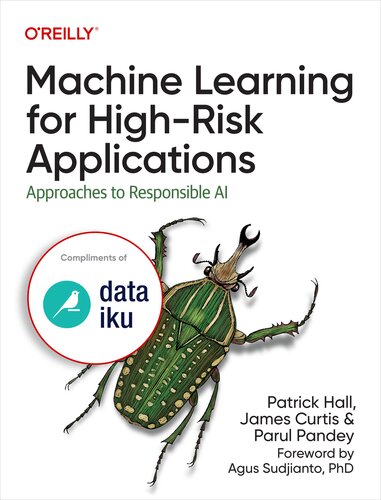 Machine Learning For Highrisk Applications Approaches To Responsible Ai Patrick Hall