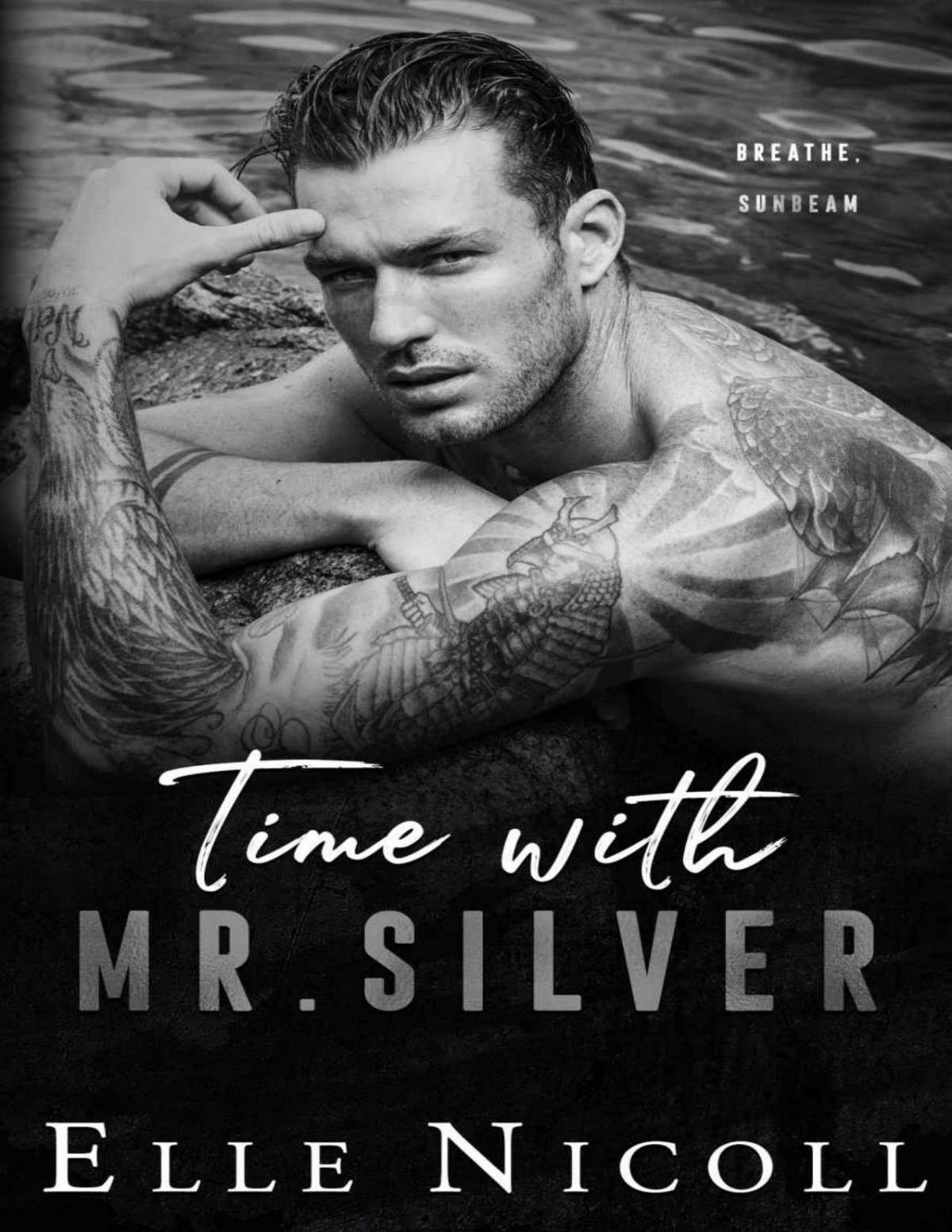 Time With Mr Silver A Forced Proximity Steamy Romance The Men Series Interconnected Standalone Romances Book 7 Elle Nicoll