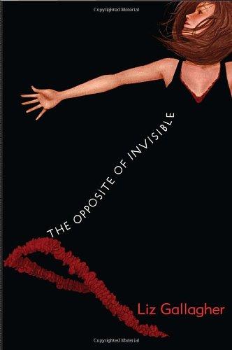 The Opposite Of Invisible Liz Gallagher