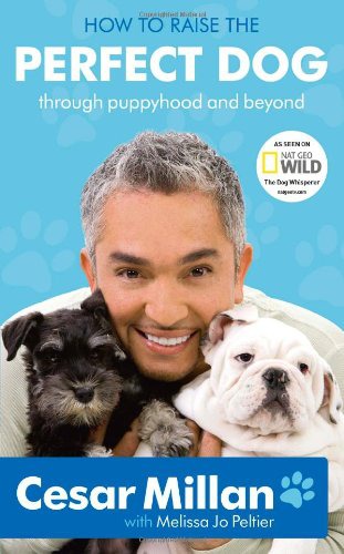 Puppyhood How To Raise The Perfect Dog Cesar Millan