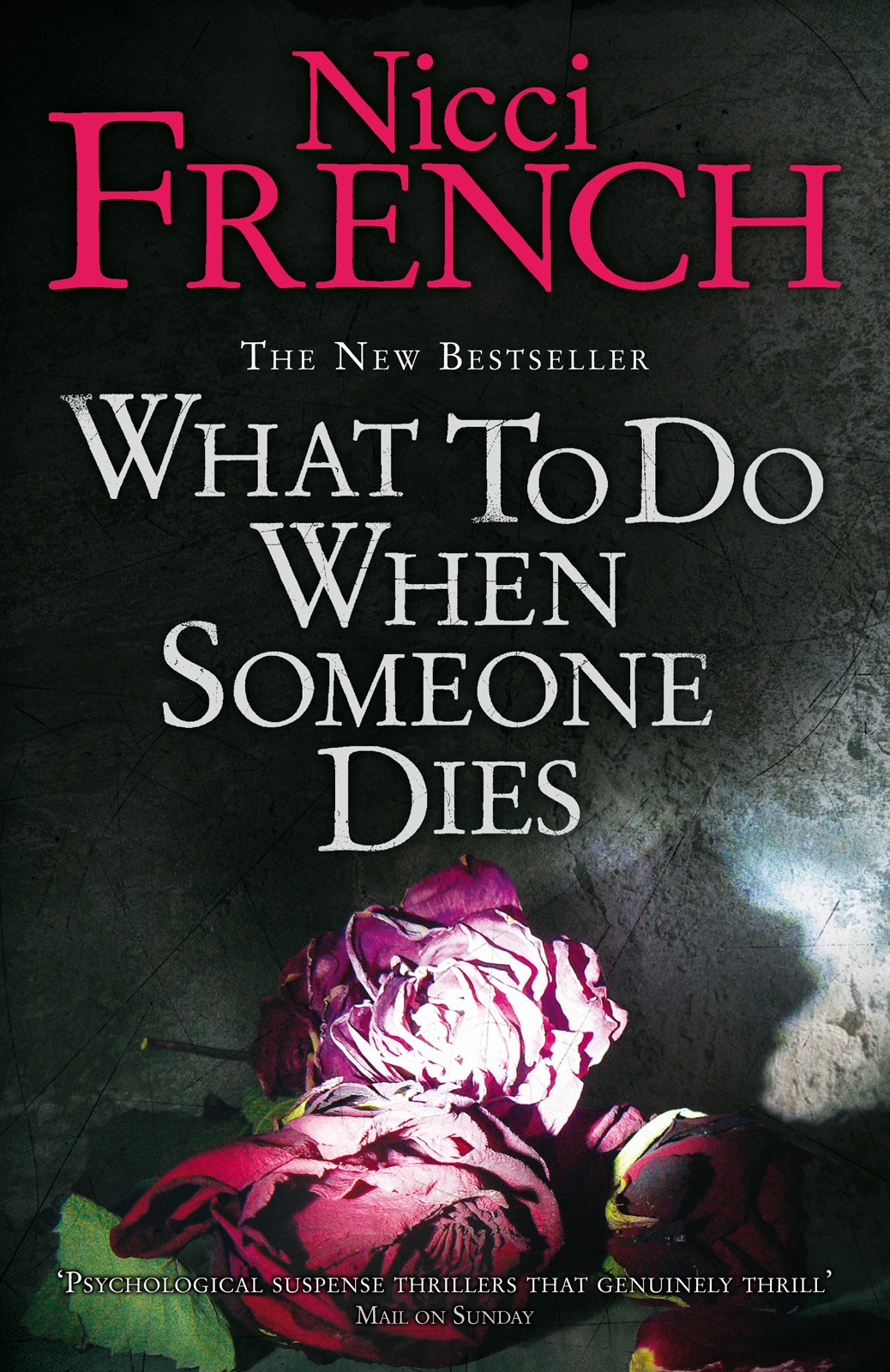 What To Do When Someone Dies Nicci French