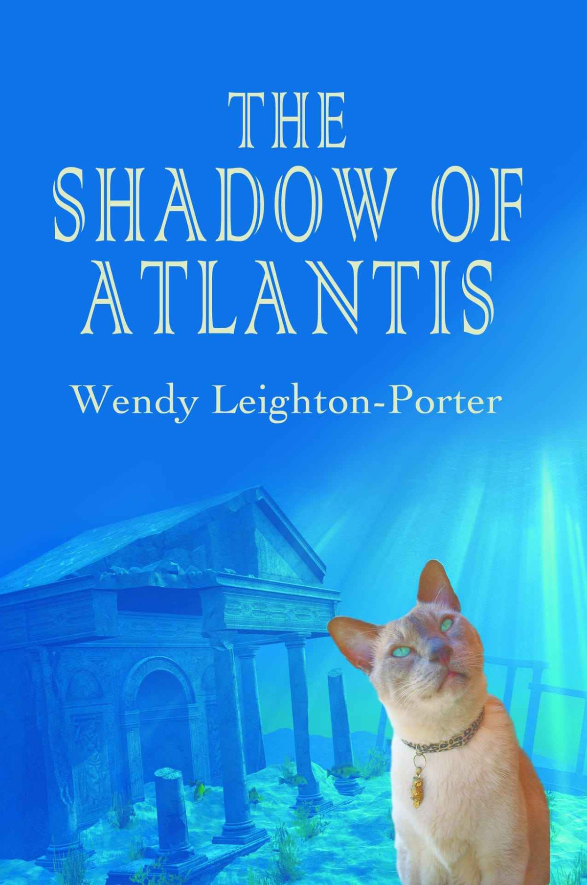 The Shadow Of Atlantis Shadows From The Past Book 1 Wendy Leightonporter