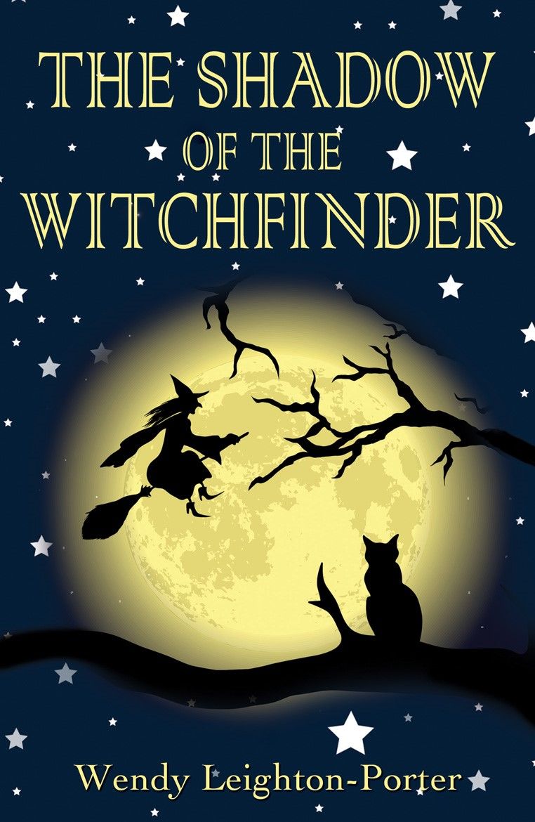 The Shadow Of The Witchfinder Shadows From The Past Book 10 Wendy Leightonporter