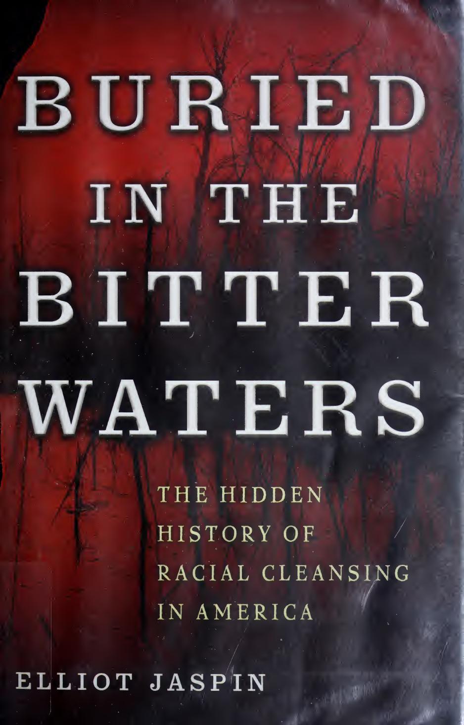 Buried In The Bitter Waters Elliot Jaspin