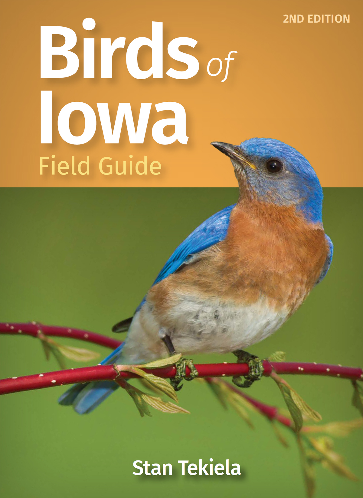 Birds Of Iowa Field Guide Stan Tekiela
