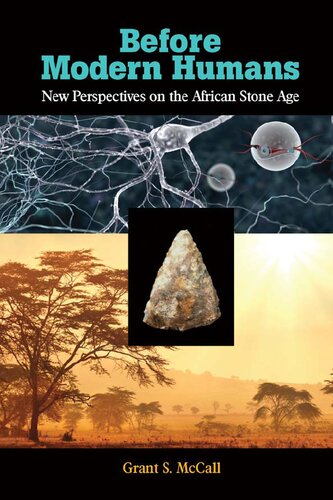 Before Modern Humans New Perspectives On The African Stone Age 1st Edition Grant S Mccall