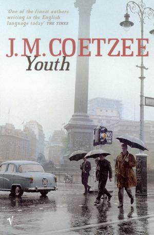 Youth J M Coetzee