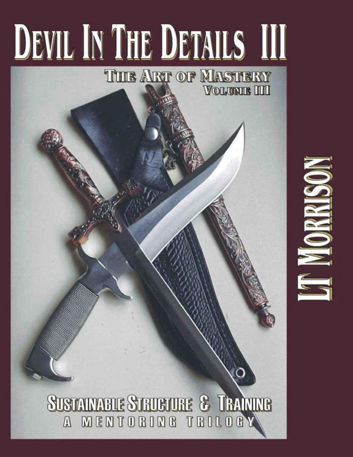 Devil In The Details Iii The Art Of Mastery A Mentoring Trilogy Lt Morrison