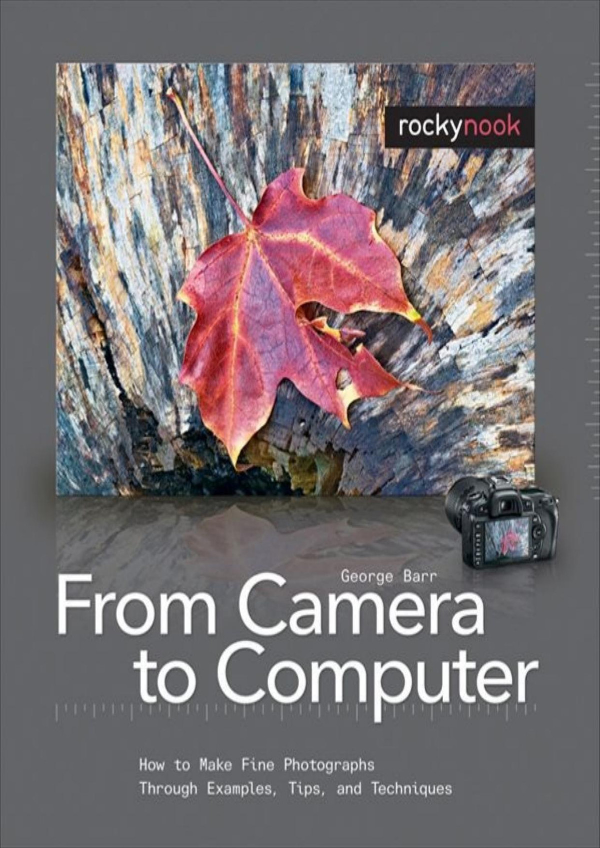 From Camera To Computer How To Make Fine Photographs Through Examples Tips And Techniques George Barr
