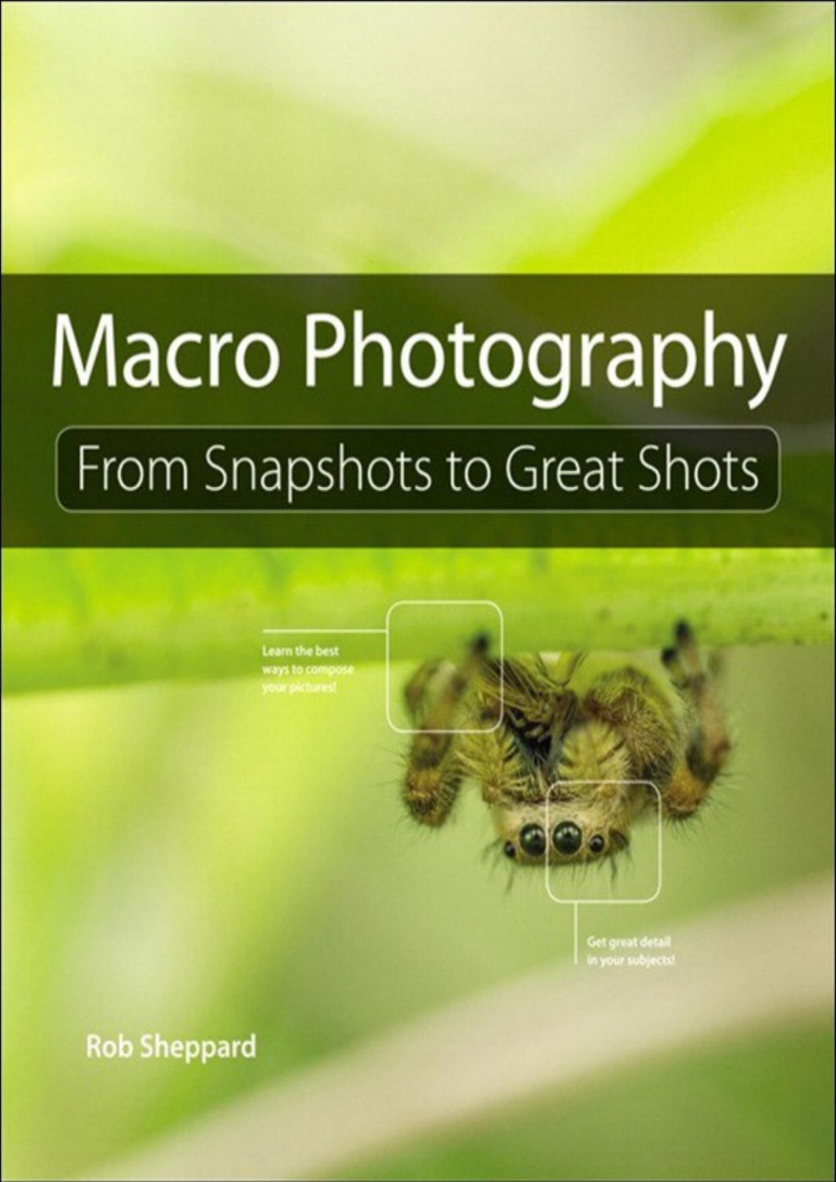 Macro Photography From Snapshots To Great Shots Rob Sheppard
