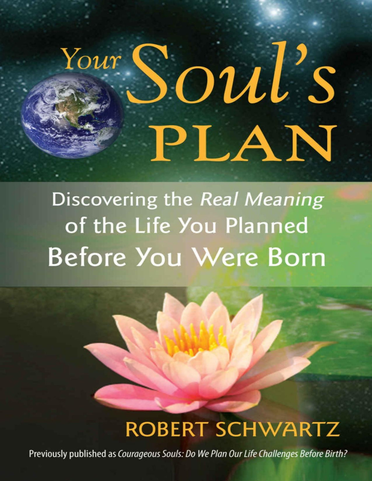 Your Souls Plan Discovering The Real Meaning Of The Life You Planned Before You Were Born Robert Schwartz