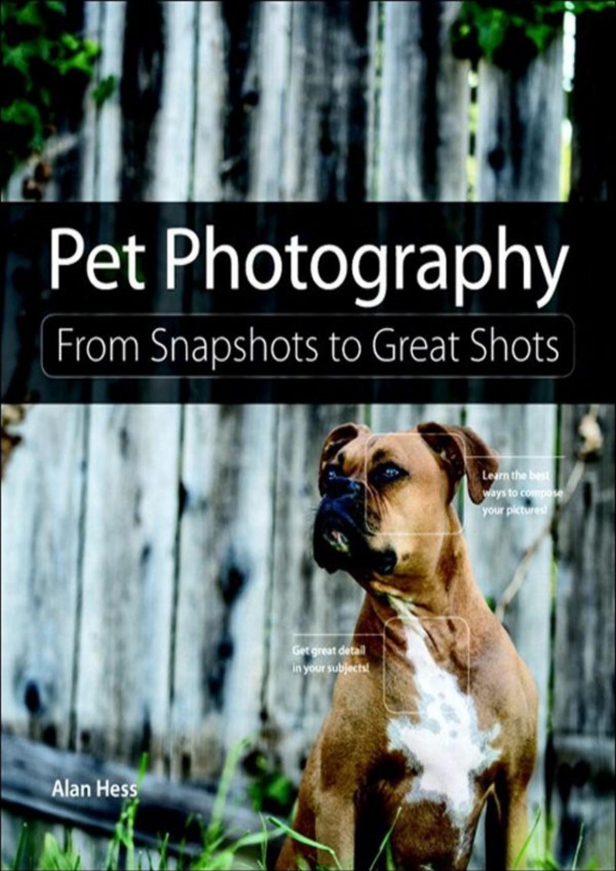 Pet Photography From Snapshots To Great Shots Alan Hess