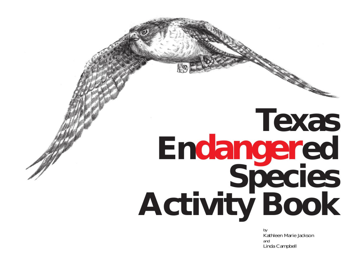 Texas Endangered Species Activity Book 1st Edition Kathleen Marie Jackson