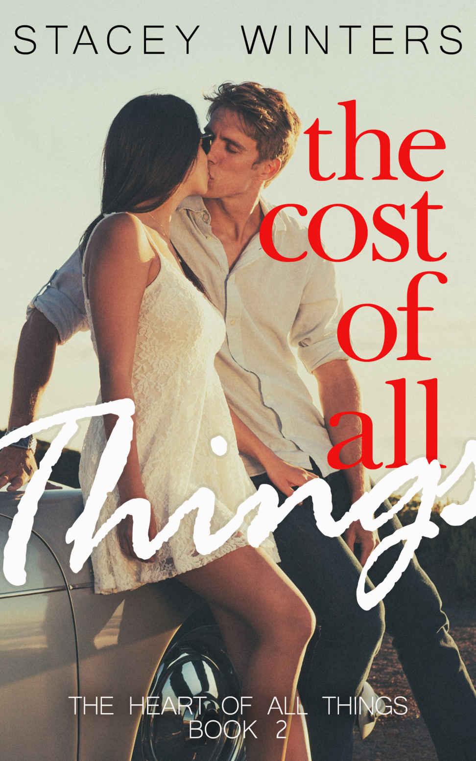 The Cost Of All Things Stacey Winters