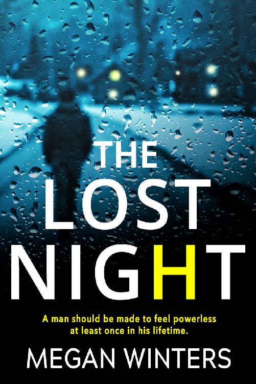 The Lost Night Megan Winters