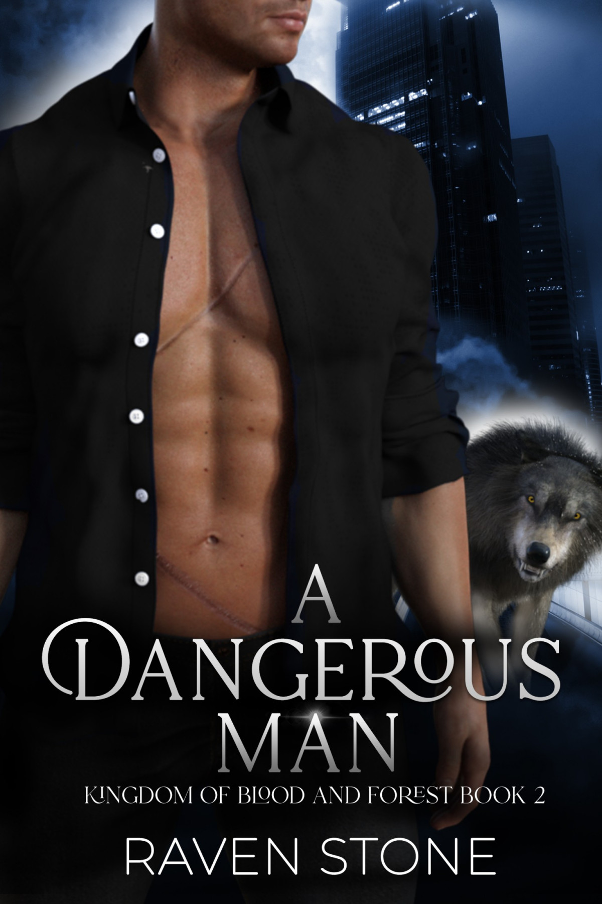 A Dangerous Man Raven Stone