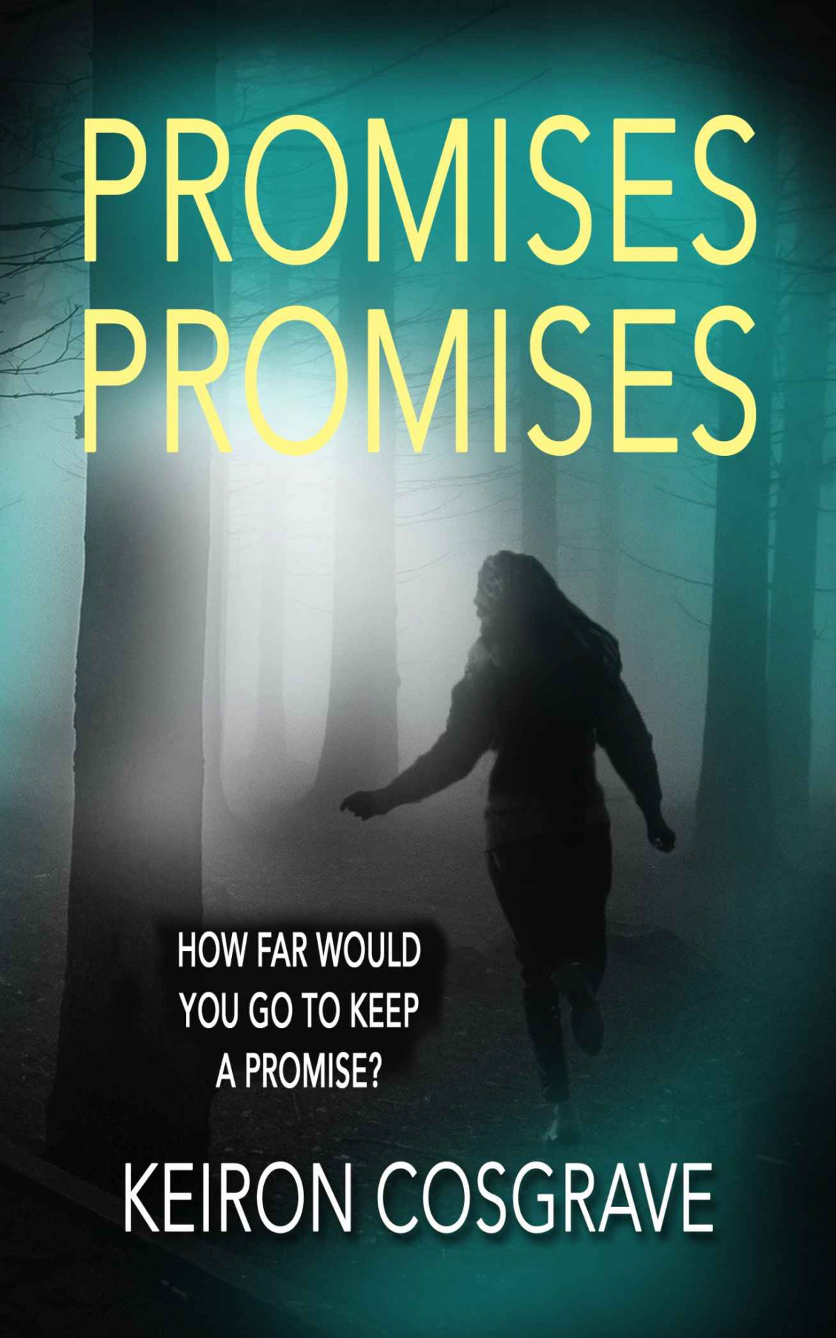 Promises Promises An Intriguing Police Procedural Murder Mystery Di Wardell Book 1 Keiron Cosgrave