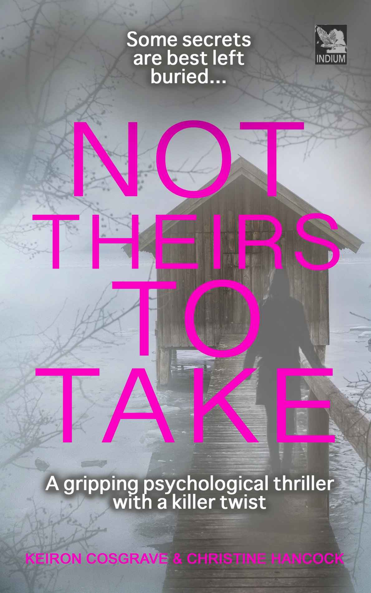 Not Theirs To Take A Gripping Psychological Crime Thriller With A Killer Twist Domestic Crime Cosgrave