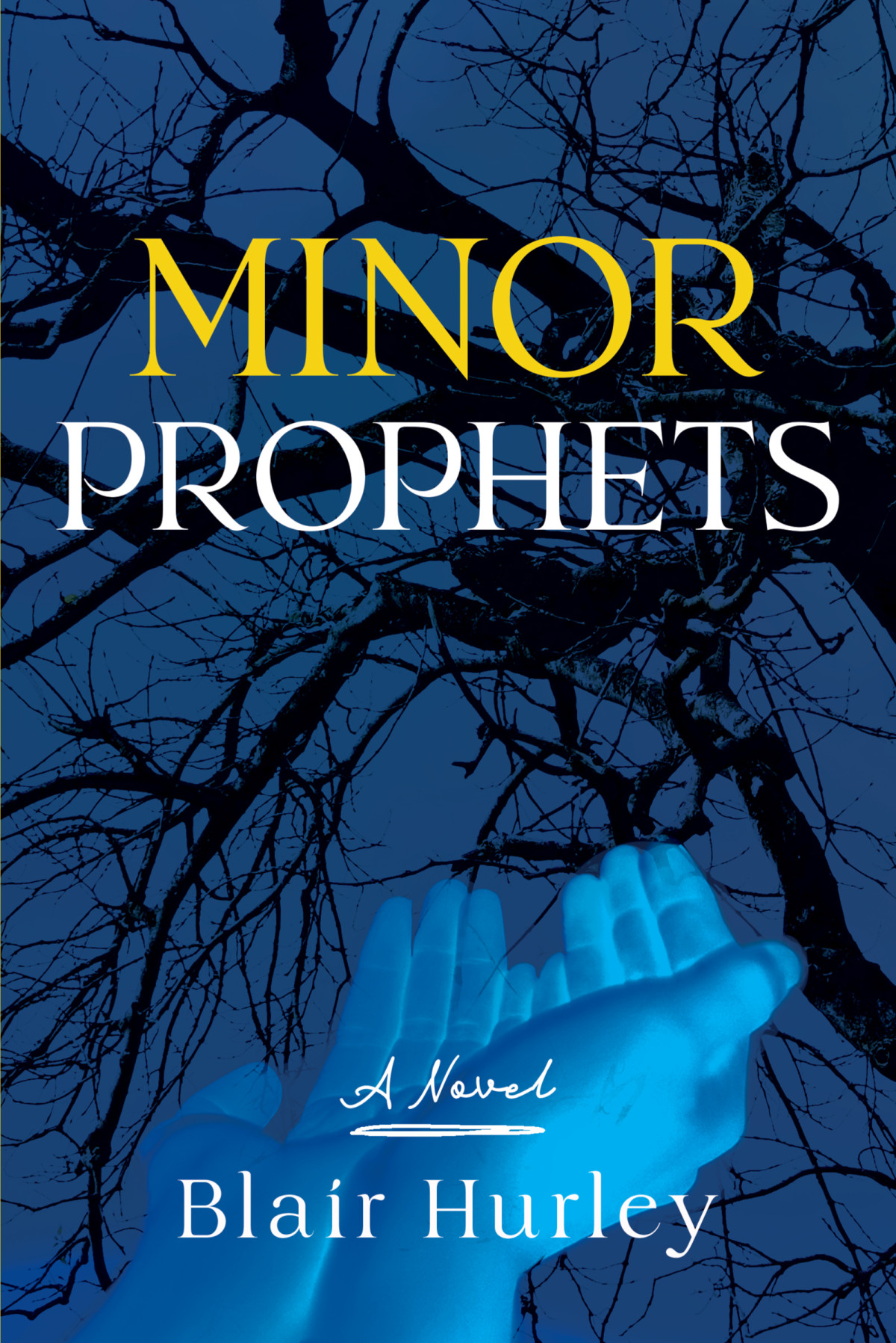Minor Prophets Blair Hurley