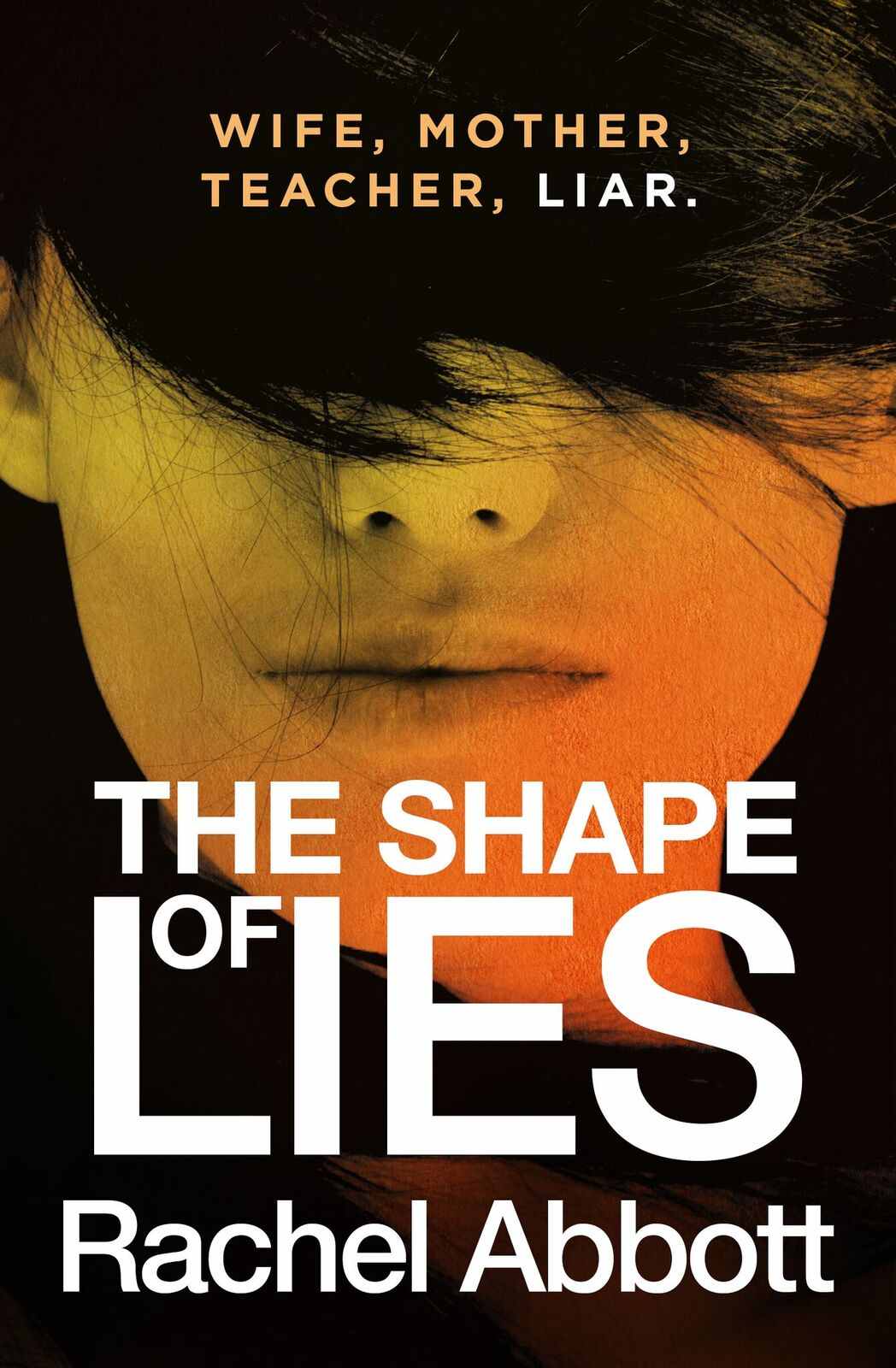 The Shape Of Lies Dci Tom Douglas 8 Rachel Abbott