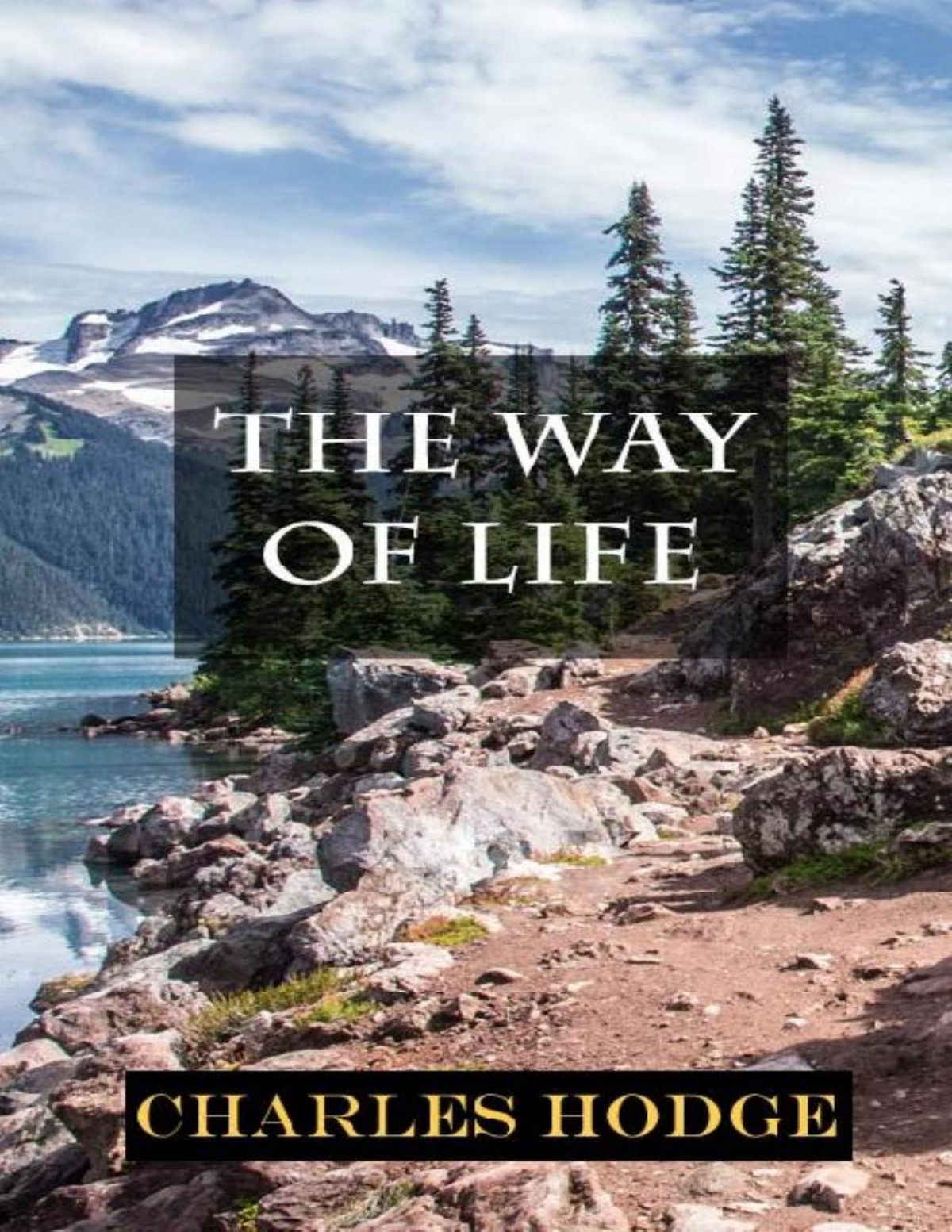 The Way Of Life Charles Hodge American Sunday School Union Publisher